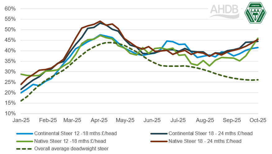 Comparing year-on-year price inflation for store and finished cattle.
